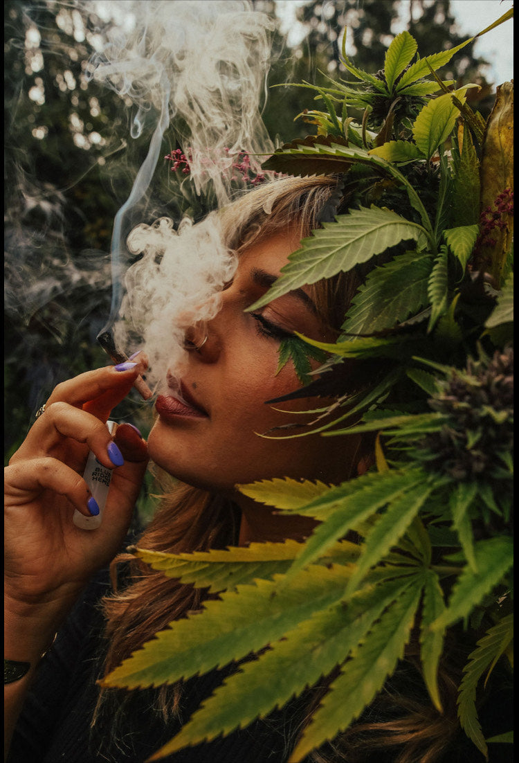 My CannaStory: NiniBeeeee Queen of the Kush